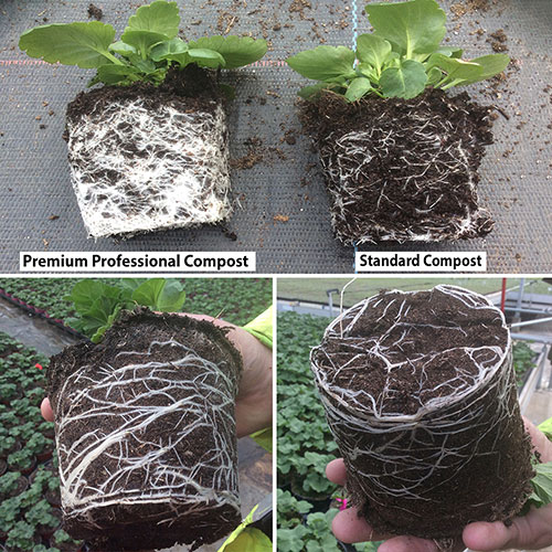 Premium Professional Compost 110 Litre Bundle Premium Professional Compost 110 Litre Bundle