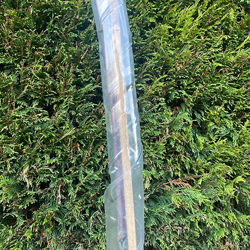 Bamboo Cane and Spiral Guard Set Bamboo Cane and Spiral Guard Set