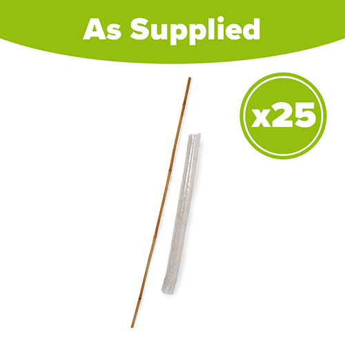 Bamboo Cane and Spiral Guard Set Bamboo Cane and Spiral Guard Set