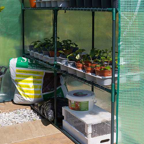 Walk In Greenhouse Walk In Greenhouse