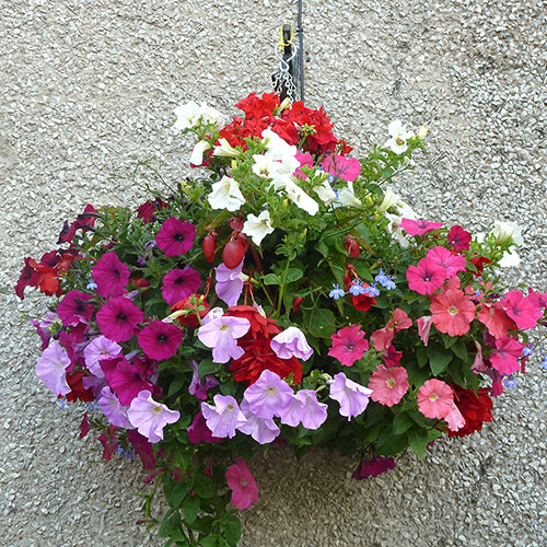 Pair of 15 Easy Fill Hanging baskets Pair of 15 Easy Fill Hanging baskets