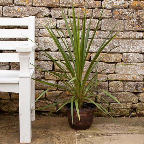 Acorn Round Planter 25cm (10in) Copper-Tone Acorn Round Planter 25cm (10in) Copper-Tone