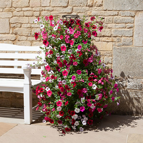 Tower Planter and Trellis Tower Planter and Trellis