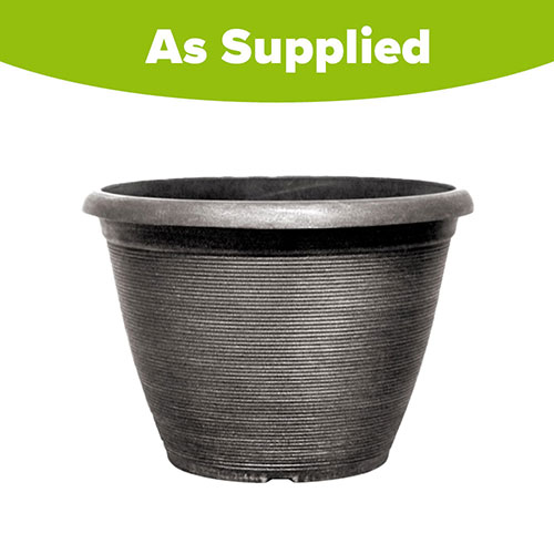 Helix Silver Planter Helix Silver Planter