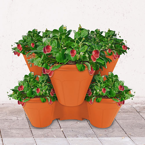 Stackable Planter Stackable Planter