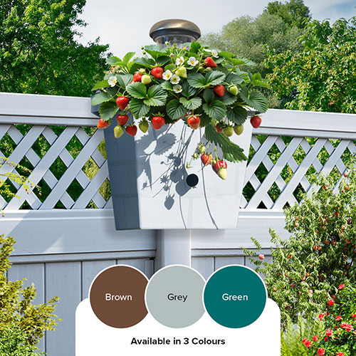 Revolutionary 4-in-1 Self-Watering Fence Planter and Solar Light - Brown Revolutionary 4-in-1 Self-Watering Fence Planter and Solar Light - Brown