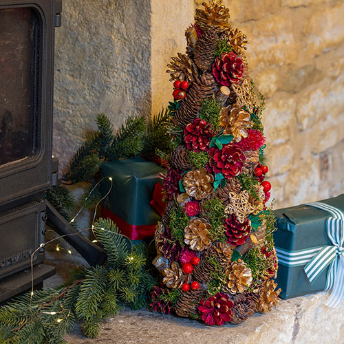 Three Kings Cone Three Kings Cone