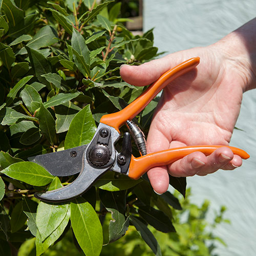 Autumn Garden Tidy Kit Autumn Garden Tidy Kit