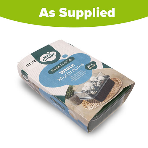 White Mushroom Grow Kit White Mushroom Grow Kit