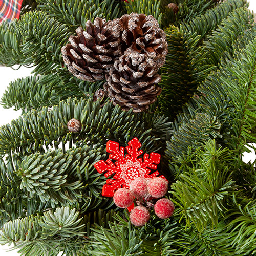 Fresh Christmas Garland Fresh Christmas Garland