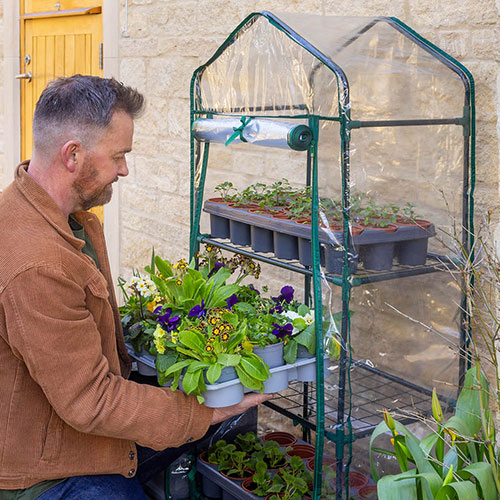 Three Tier Greenhouse Three Tier Greenhouse