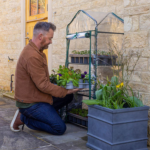 Three Tier Greenhouse Three Tier Greenhouse