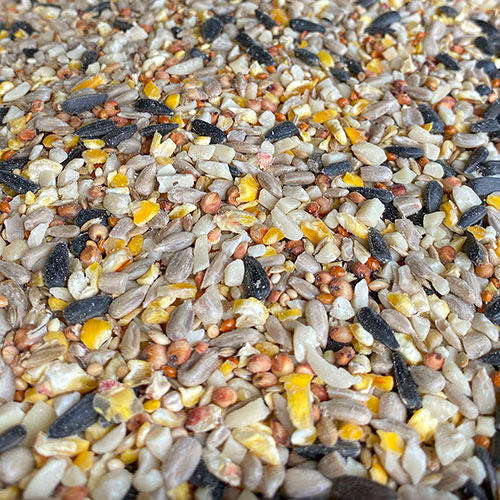 Blooming Fast Deluxe Wild Birdfood 13kg Blooming Fast Deluxe Wild Birdfood 13kg