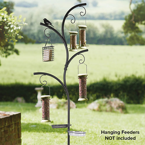 Wild Wings Dining Station Wild Wings Dining Station