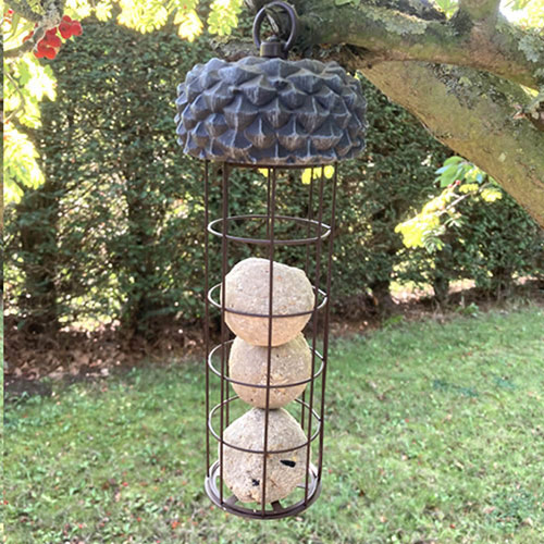 Acorn Fat Ball Bird Feeder