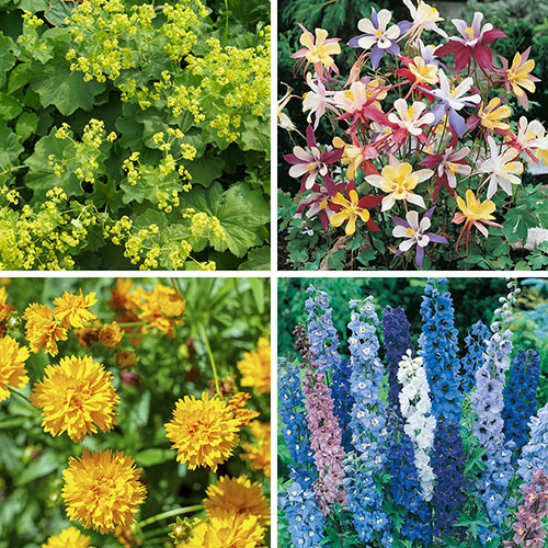 Cottage Garden Collection Cottage Garden Collection