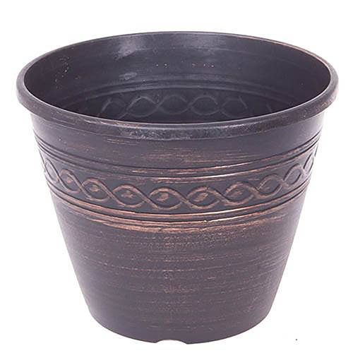 Begonia plugs x12 with Compost and Planters Begonia plugs x12 with Compost and Planters