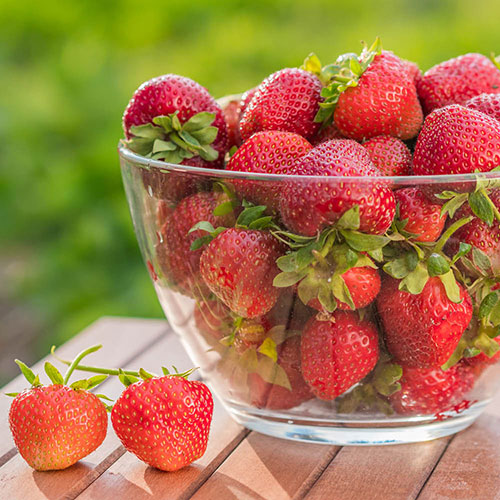 Complete Everbearer Strawberry Sweet Summer Patio Collection Complete Everbearer Strawberry Sweet Summer Patio Collection