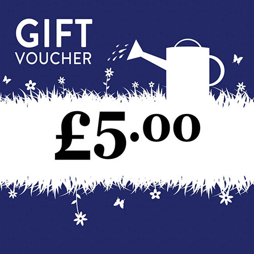 eGift Voucher
