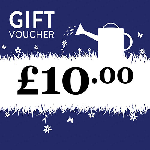eGift Voucher