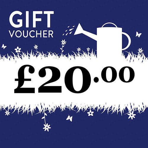 eGift Voucher eGift Voucher
