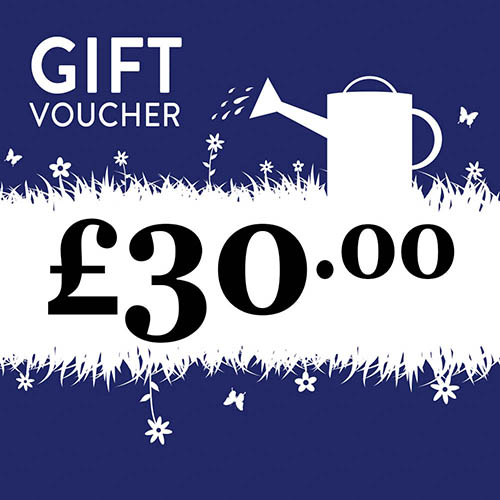 eGift Voucher
