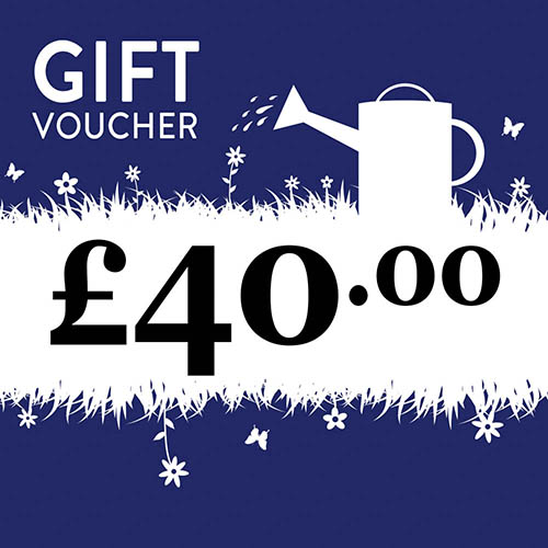 eGift Voucher
