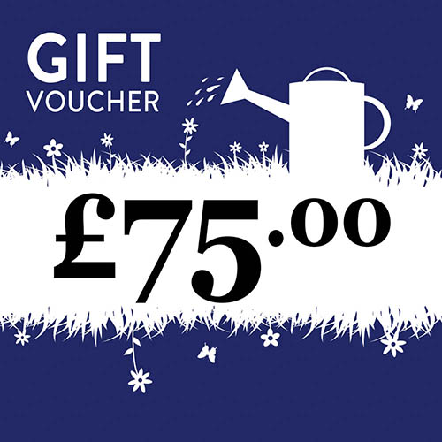 eGift Voucher