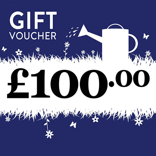 eGift Voucher