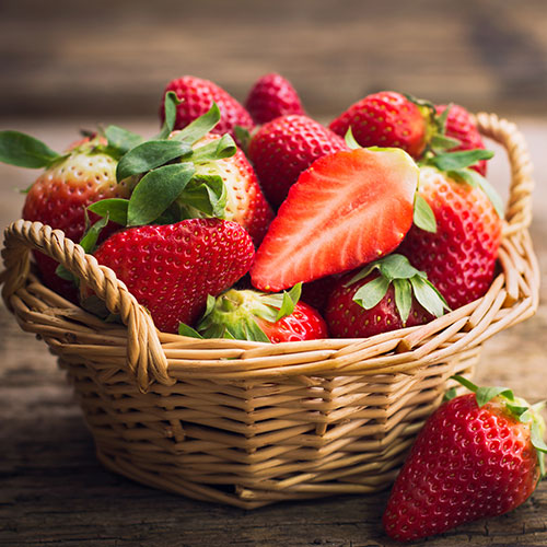 Everbearer Strawberry Sweet Summer