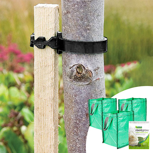 Complete Tree Planting Selection