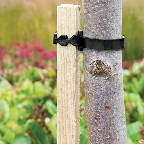 Complete Tree Planting Selection Complete Tree Planting Selection