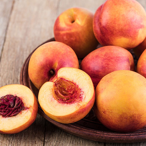 Nectarine Tree Prunus Flavourtop Nectarine Tree Prunus Flavourtop