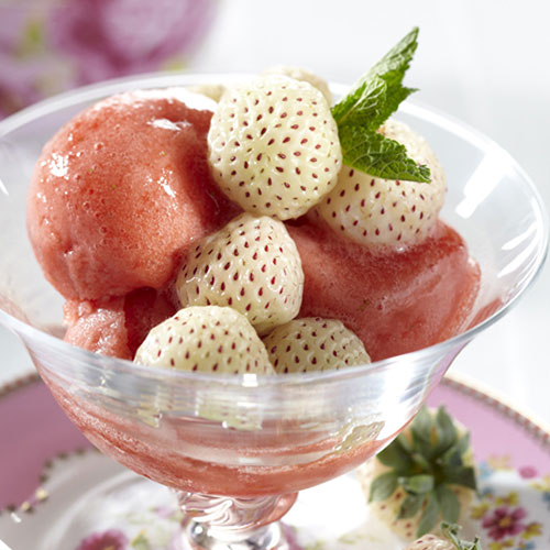 White Strawberry (Pineberry) White Dream White Strawberry (Pineberry) White Dream