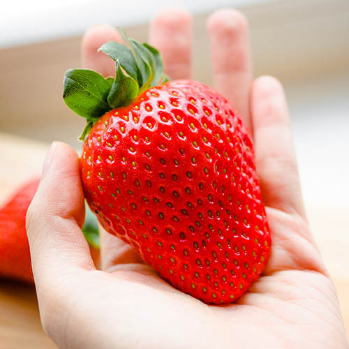 Strawberry Sweet Colossus Strawberry Sweet Colossus