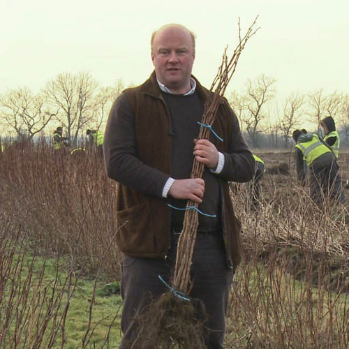 Raspberry Glen Ample Long Canes Raspberry Glen Ample Long Canes