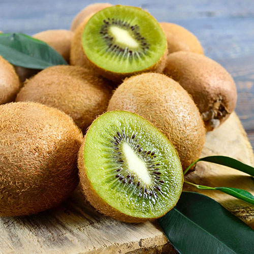 Self-fertile Kiwi Jenny Self-fertile Kiwi Jenny