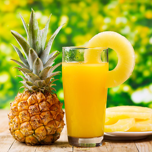 Edible Pineapple Plant Edible Pineapple Plant