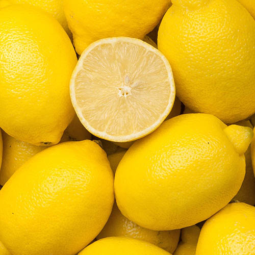 Lemon Citron Tree Lemon Citron Tree