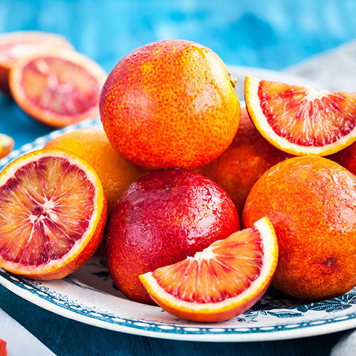 Citrus Blood Orange Fruit Tree Gift Wrapped Citrus Blood Orange Fruit Tree Gift Wrapped