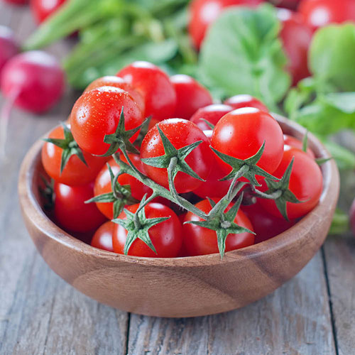 Tomato Tumbling Tom Red Tomato Tumbling Tom Red