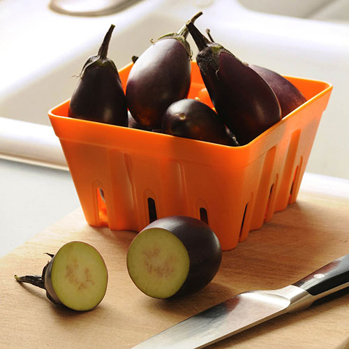 Aubergine Patio Baby Aubergine Patio Baby