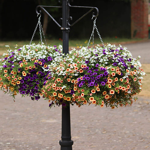 Fruit Salad Bedding Mix Fruit Salad Bedding Mix