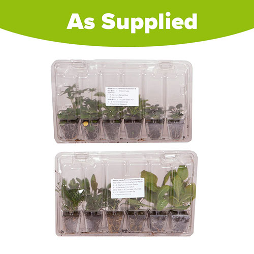 Complete Hardy Garden Perennial Collection Complete Hardy Garden Perennial Collection