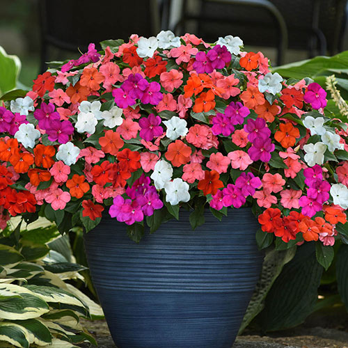 Ultimate Bedding Display Collection Ultimate Bedding Display Collection