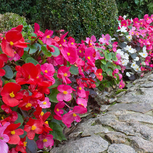 Ultimate Bedding Display Collection Ultimate Bedding Display Collection