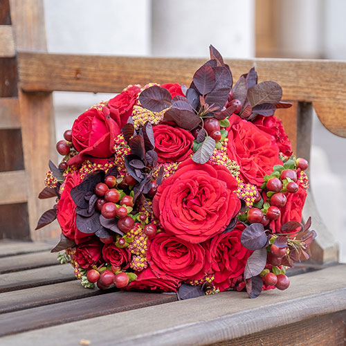 Rose Chelsea Pensioner Rose Chelsea Pensioner