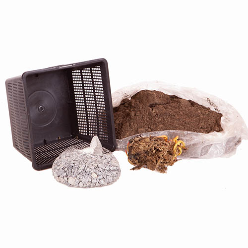 Water Lily Planting Kit - Yellow Water Lily Planting Kit - Yellow