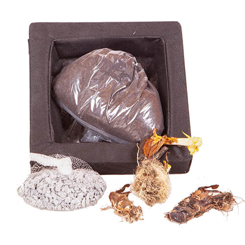 Floating Pond Plant Raft Floating Pond Plant Raft