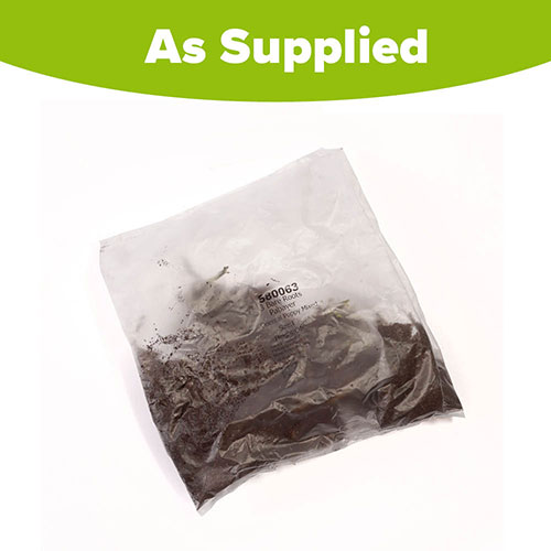 Premium Oriental Poppy Collection Premium Oriental Poppy Collection